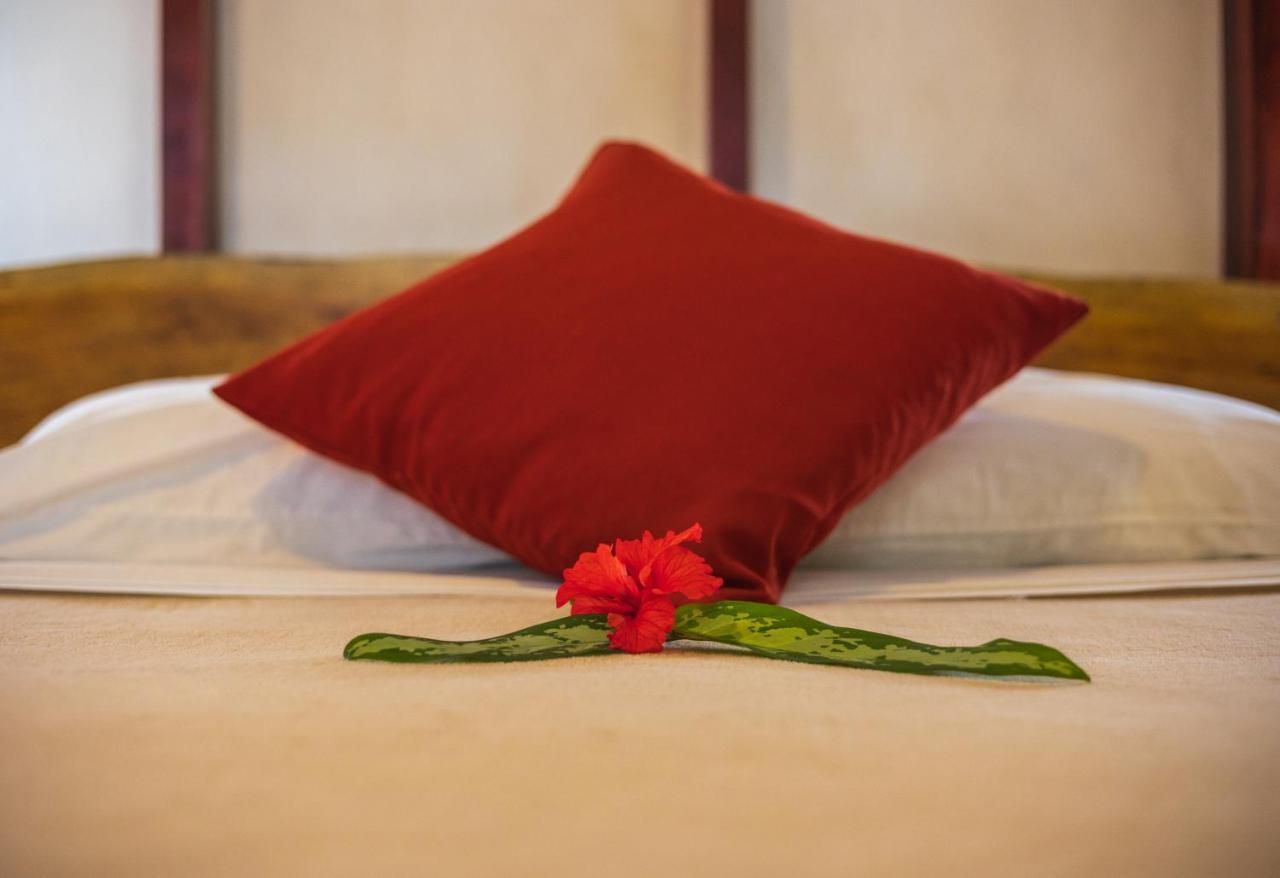 Namuwoki Lodge Puerto Viejo de Talamanca 外观 照片