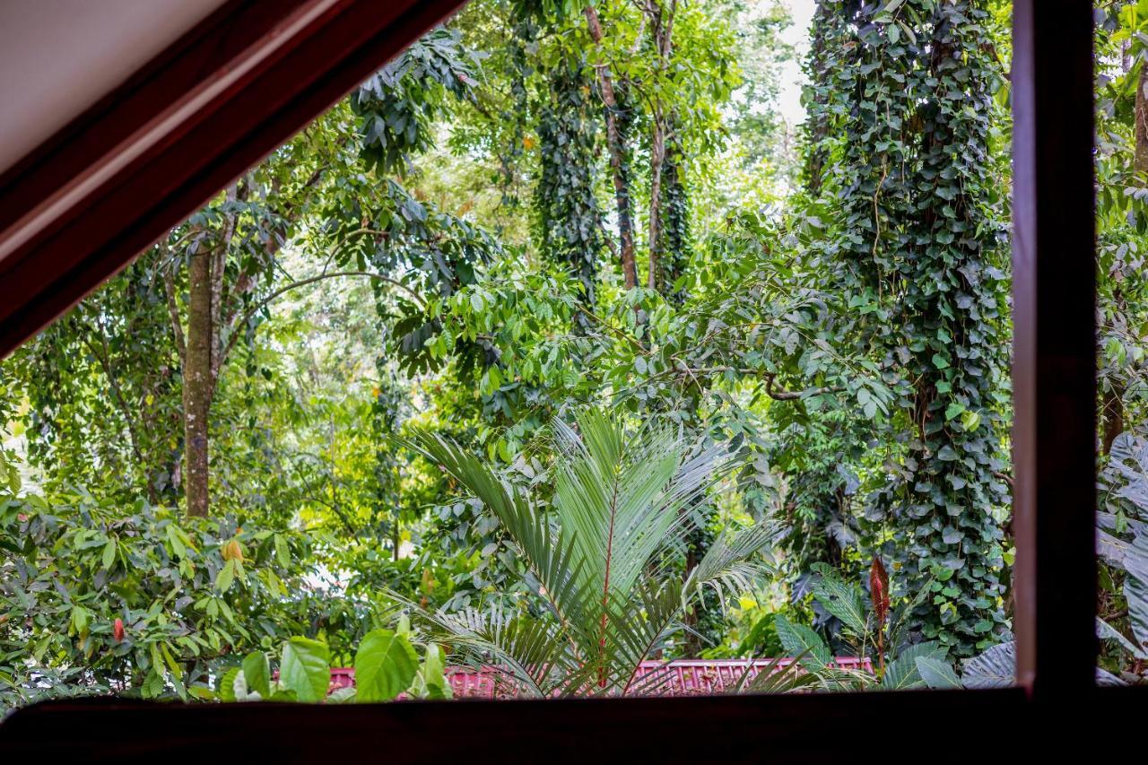 Namuwoki Lodge Puerto Viejo de Talamanca 外观 照片
